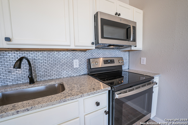 1225 Texas Oaks Property Photo 17