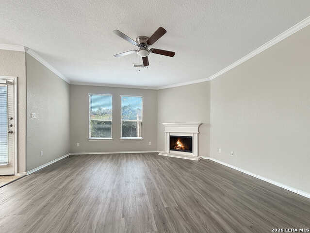 584 Saddlehorn Way Property Photo 3