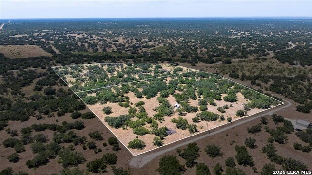 264 Pheasant Trl Property Photo 8