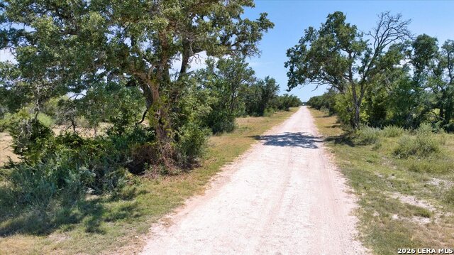 264 Pheasant Trl Property Photo 22