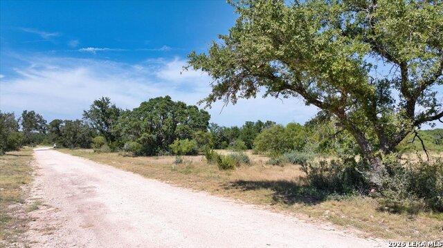 264 Pheasant Trl Property Photo 23