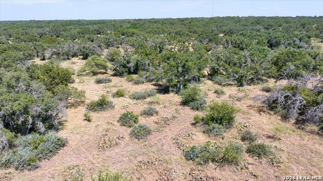 264 Pheasant Trl Property Photo 25