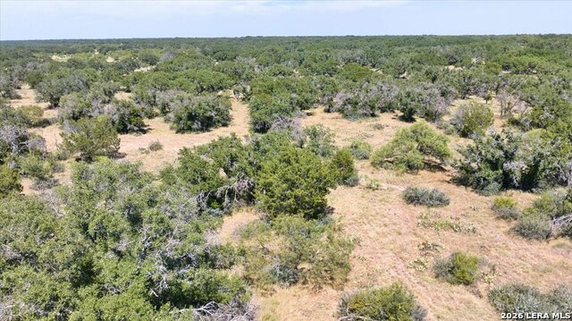 264 Pheasant Trl Property Photo 26
