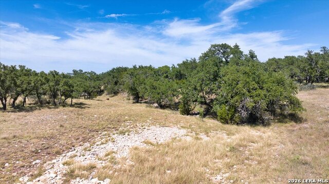 264 Pheasant Trl Property Photo 28