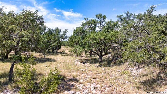 264 Pheasant Trl Property Photo 29
