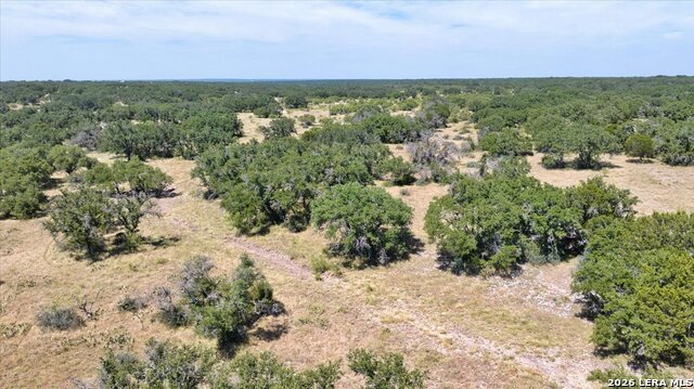 264 Pheasant Trl Property Photo 30