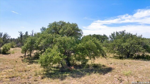 264 Pheasant Trl Property Photo 32