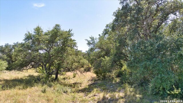 264 Pheasant Trl Property Photo 34