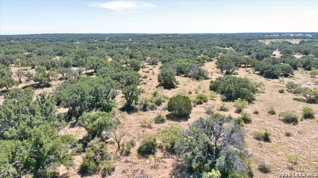 264 Pheasant Trl Property Photo 39