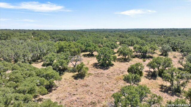 264 Pheasant Trl Property Photo 41