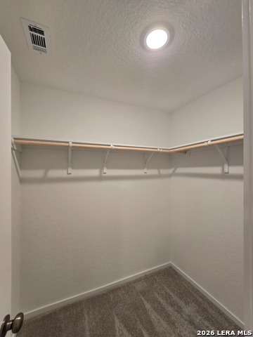 8027 Biggio Ln Property Photo 12
