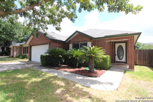 904 Abercorn Property Photo 5