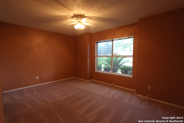 904 Abercorn Property Photo 8