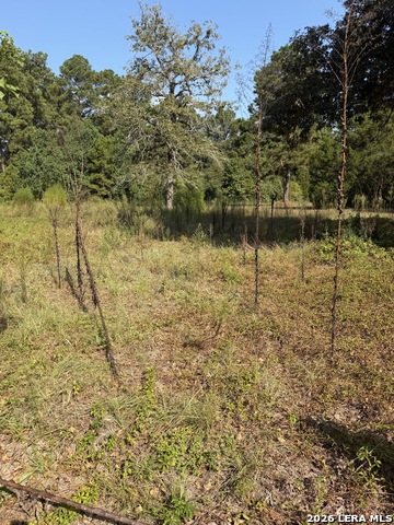 11697 W Old Oak Property Photo 7