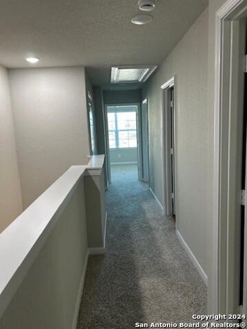 13303 Stadium Cv Property Photo 10