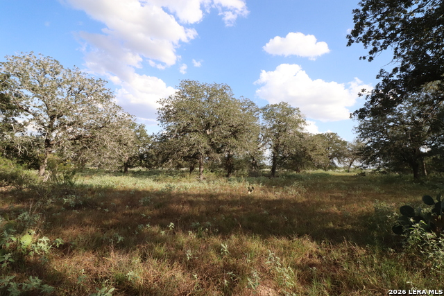 5668 State Highway 97 Property Photo 4