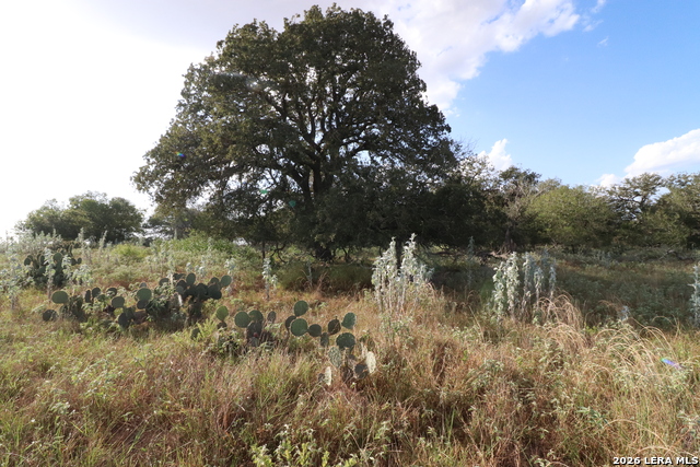 5668 State Highway 97 Property Photo 11