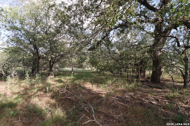 5668 State Highway 97 Property Photo 16