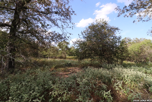 5668 State Highway 97 Property Photo 18