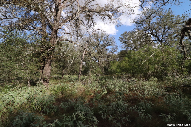 5668 State Highway 97 Property Photo 19