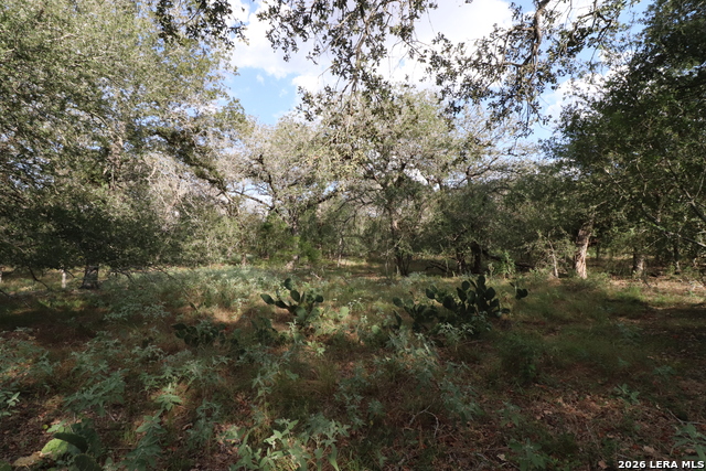 5668 State Highway 97 Property Photo 20
