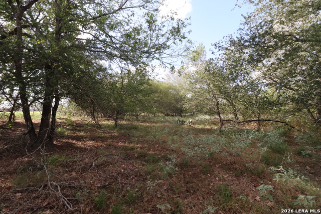 5668 State Highway 97 Property Photo 21