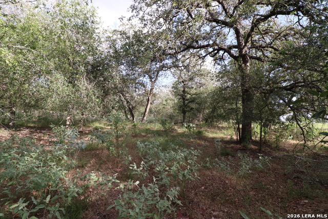 5668 State Highway 97 Property Photo 22