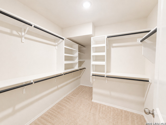 29529 Spring Copper Property Photo 24