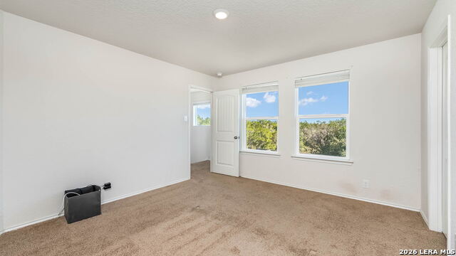 206 Moscovy Duck Property Photo 13