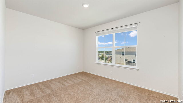 206 Moscovy Duck Property Photo 16