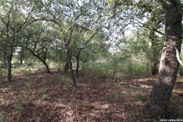 5668 State Highway 97 Property Photo 14