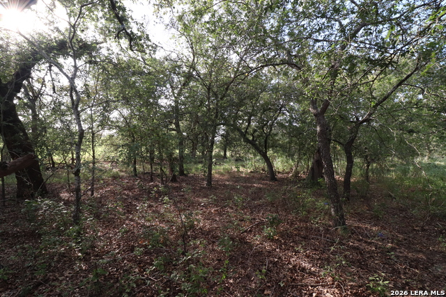 5668 State Highway 97 Property Photo 15
