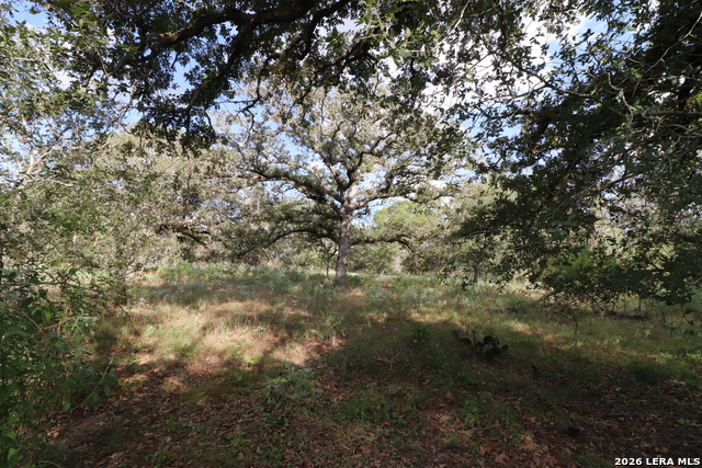 5668 State Highway 97 Property Photo 23