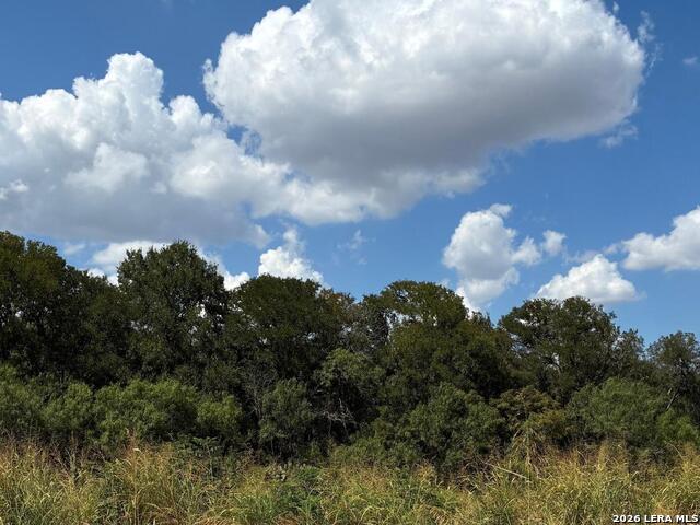 1886 E Us Highway 90 Property Photo 3