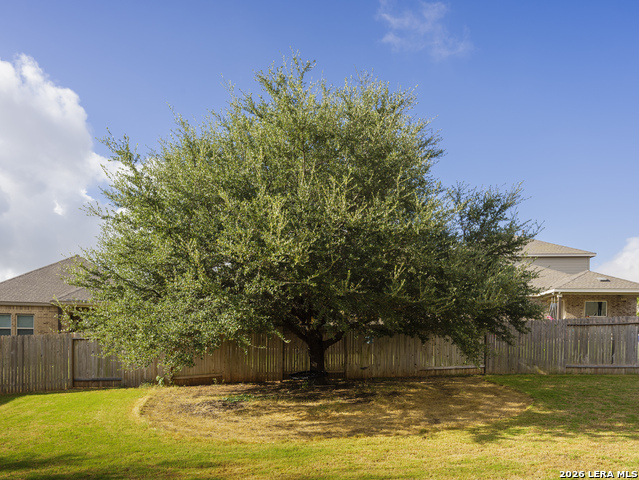 2033 Egret Ave Property Photo 30