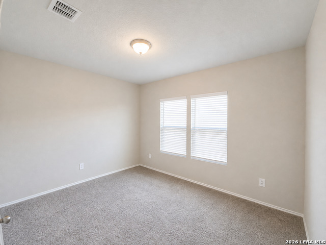2135 Dry Moss Pass Property Photo 10