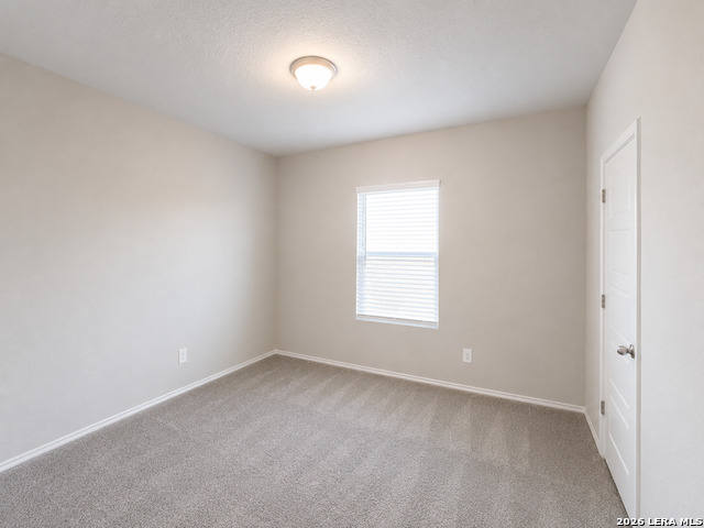 2135 Dry Moss Pass Property Photo 12