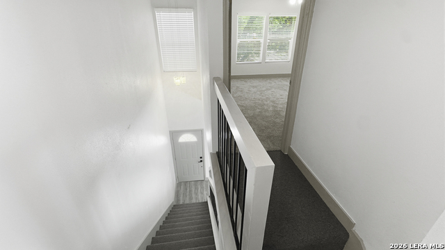 6704 Spring Front Dr Property Photo 13