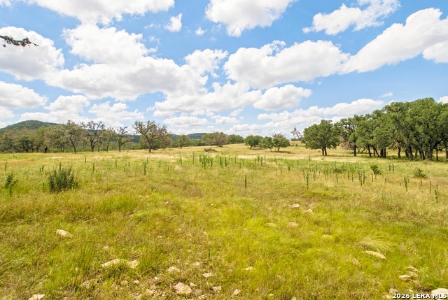 18954 State Highway 16 N Property Photo 23