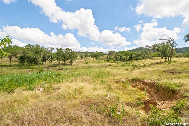 18954 State Highway 16 N Property Photo 34