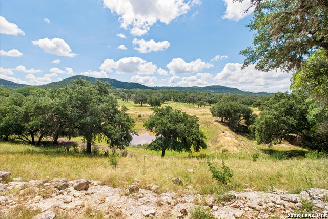18954 State Highway 16 N Property Photo 38
