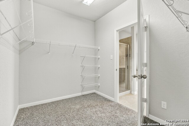 6035 Snorkel Sq Property Photo 16