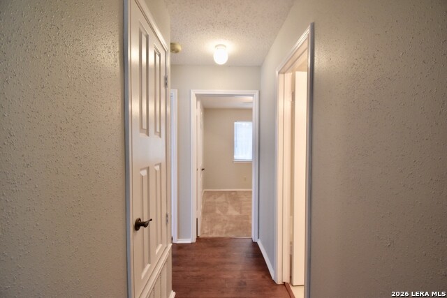 11304 Forest Gleam Property Photo 43