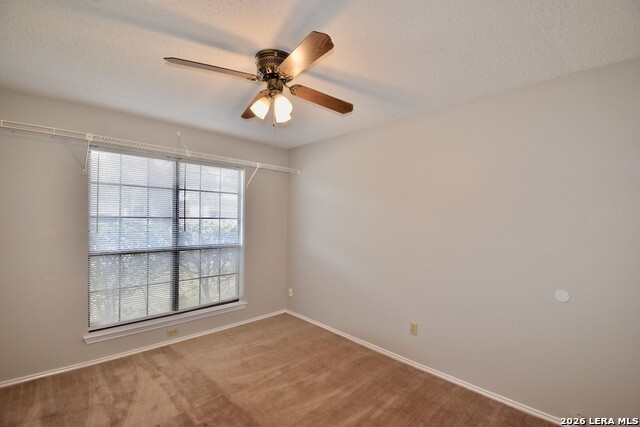 11304 Forest Gleam Property Photo 45