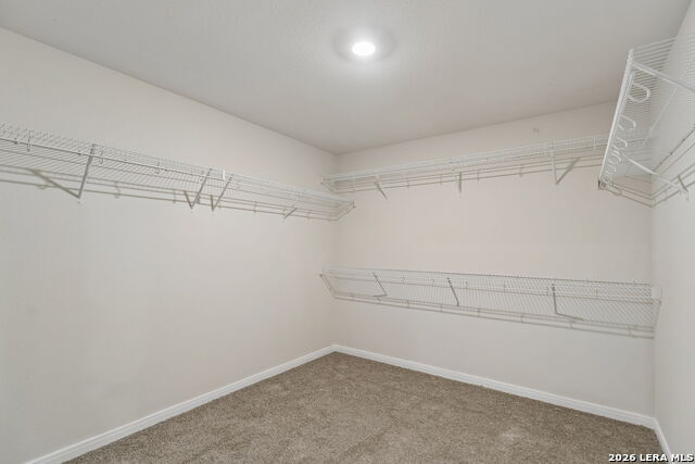 3038 Citron Gdn Property Photo 22
