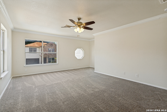 31 Braches Park Property Photo 8