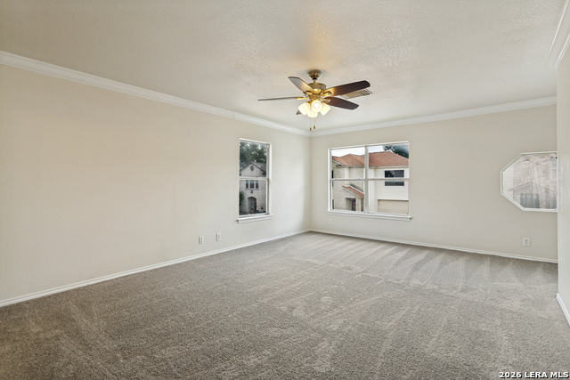 31 Braches Park Property Photo 10