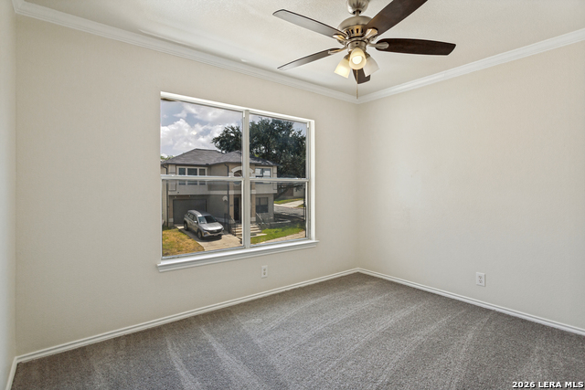 31 Braches Park Property Photo 13