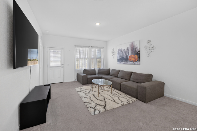 7307 Winding Pass Property Photo 9