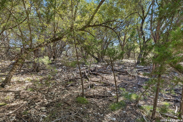 Comanche Trl Comanche Path Property Photo 12